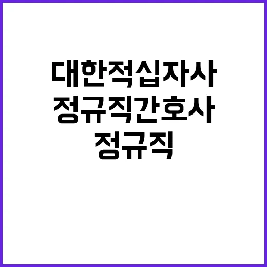 대한적십자사 인천병원 정규직 및 비정규직(육아휴직 대체) 간호사 인력 채용 공고(총 7명)