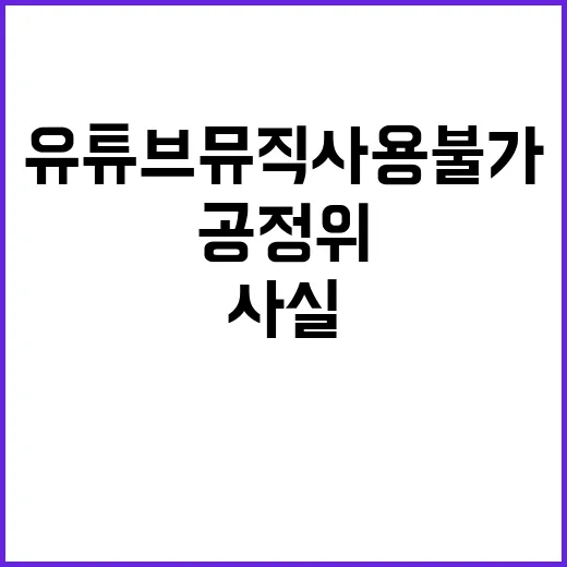 공정위 유튜브 뮤직…