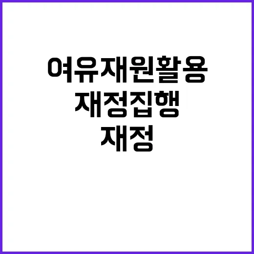 기금 정부의 여유재…