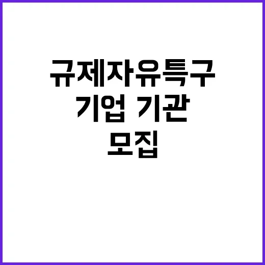 규제자유특구 참가 …