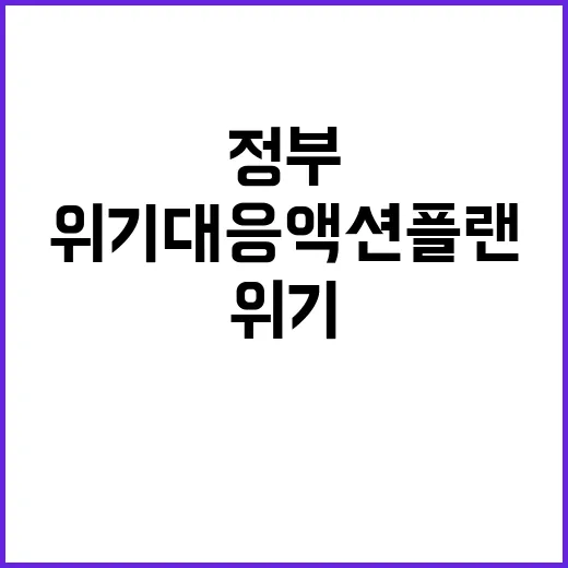 위기대응 액션플랜 …