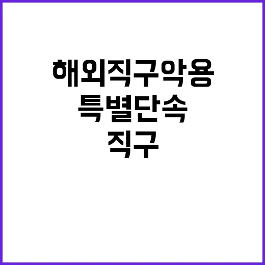 특별단속 해외직구 악용 5주간의 긴급 경고!