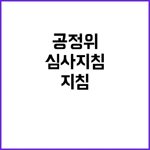 공정위의 심사지침 …