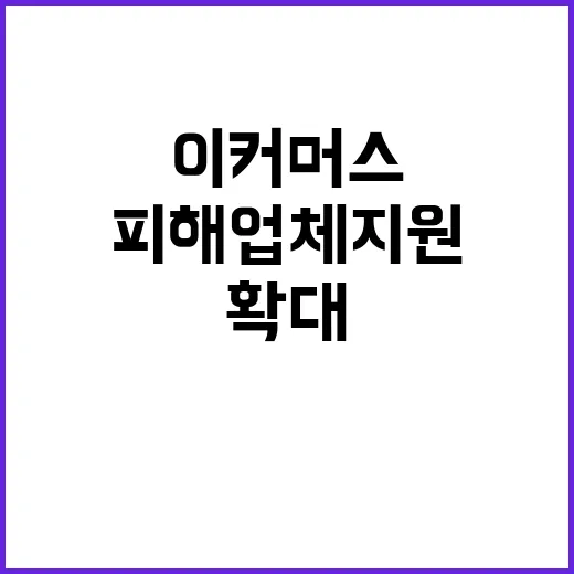 이커머스 피해업체 …