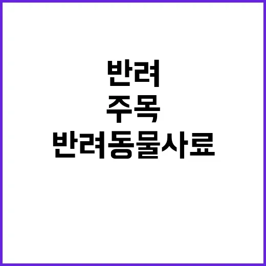 ‘반려동물 사료’ …