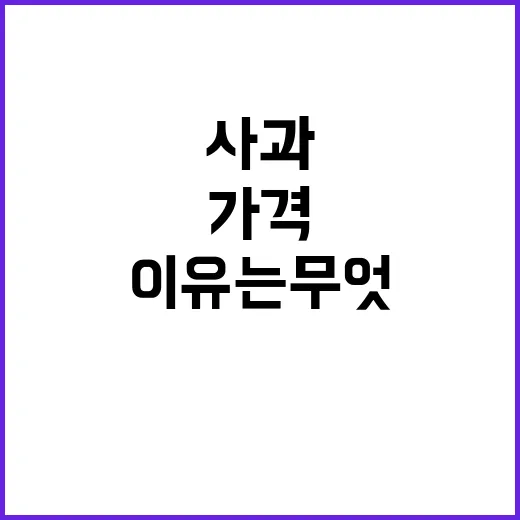 사과 소비자가격 평…