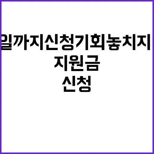 지원금 12월 2일까지 신청 기회 놓치지 마세요!