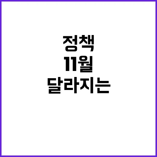 11월 정책 달라지는 이유와 혜택 공개!