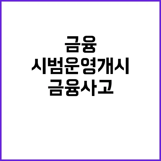 금융사고 방지 18…