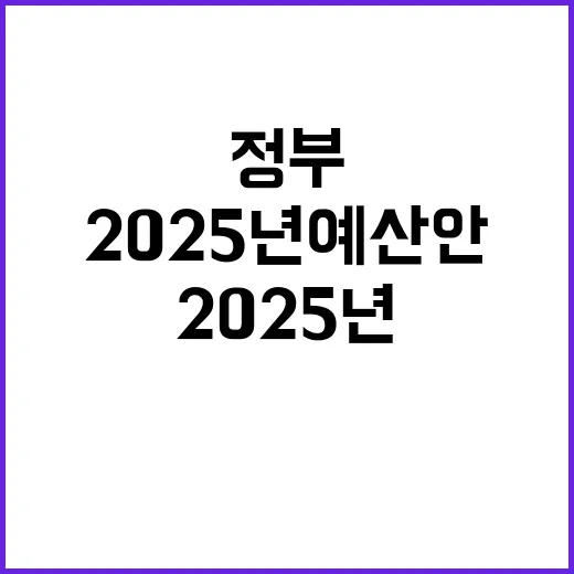 2025년 예산안 …