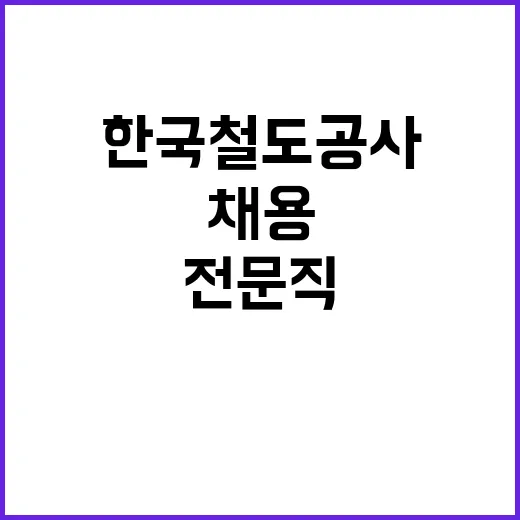 한국철도공사 정규직…