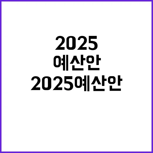 2025 예산안 정부의 새로운 변화와 기회!