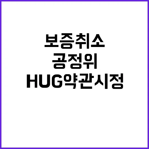 전세사기 보증 취소? 공정위 HUG 약관 시정!