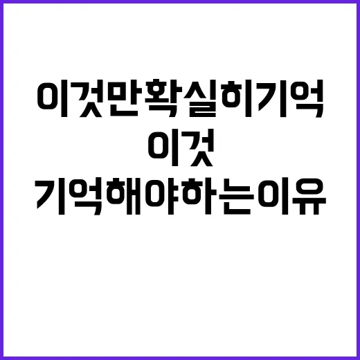 수능 이것만 확실히…