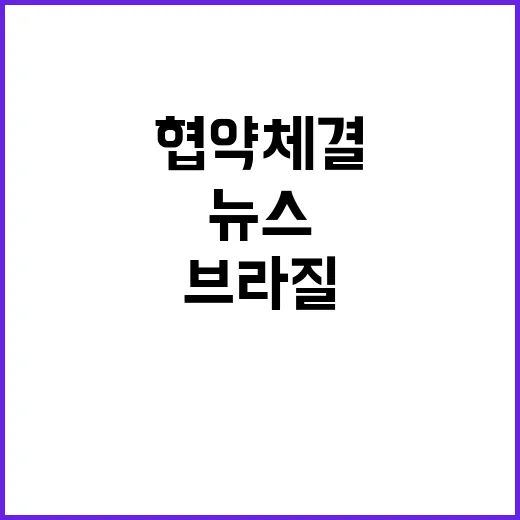 브라질 콘텐츠 시장…