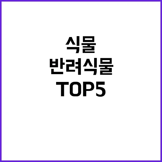 반려식물 사무실에서 기르기 좋은 TOP 5!