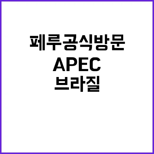 APEC 브라질 G20 페루 공식 방문의 비밀!