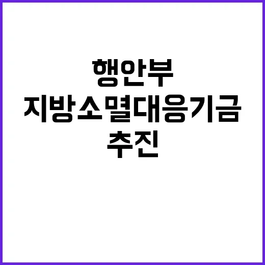 지방소멸대응기금 행안부의 성공적 추진 비결 공개!