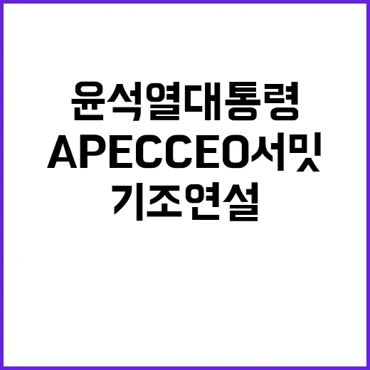 APEC CEO 서밋 윤석열 대통령 기조연설 공개!