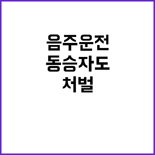 음주운전 처벌 동승…