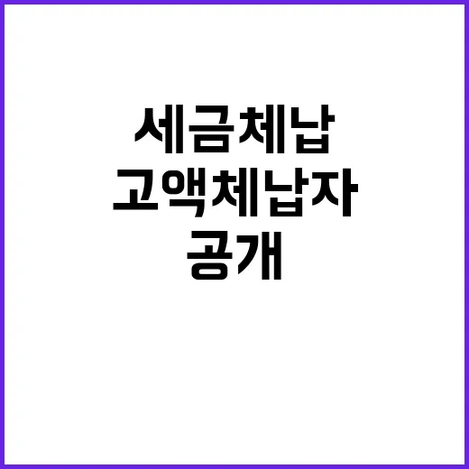 고액체납자 공개…세…