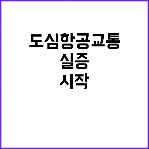 도심항공교통 다음 달 실증 시작! 기대되시죠?