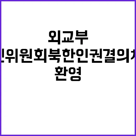 유엔위원회 북한 인권 결의 채택에 외교부 환영!