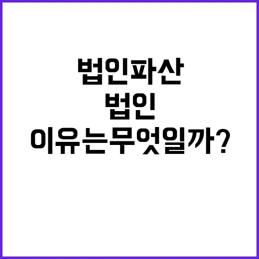 법인 파산 신청 감소세 이유는 무엇일까?