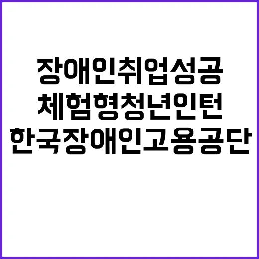 한국장애인고용공단 인천지사 장애인취업성공패키지 기간제근로자(체험형 청년인턴) 모집공고