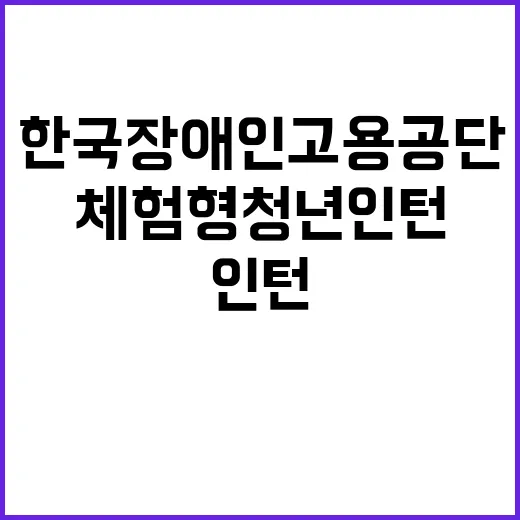 [한국장애인고용공단 인천지사] 장애인취업성공패키지 기간제근로자(체험형 청년인턴) 모집공고