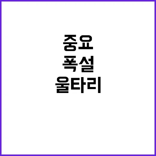 환경부 “폭설 울타리 복구 예정”  당신의 안전이 중요합니다!