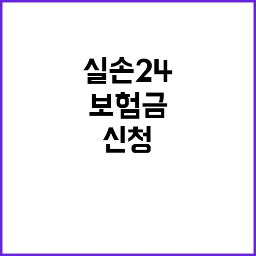 실손보험금 실손24…