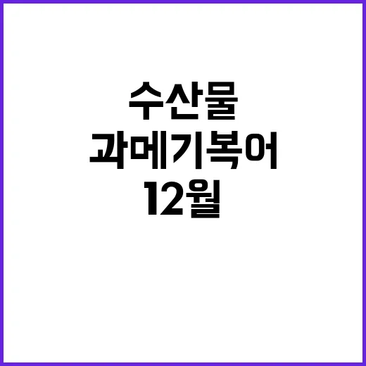 과메기 복어 12월 수산물 꼭 먹어야 할 이유!