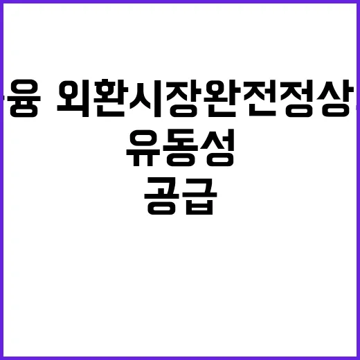 유동성 공급 금융·외환시장 완전 정상화 필요!