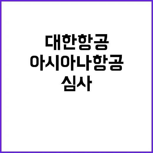 대한항공아시아나항공 심사 결과 모두가 궁금하다!