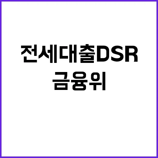 전세대출 DSR 금융위의 사실들 공개!