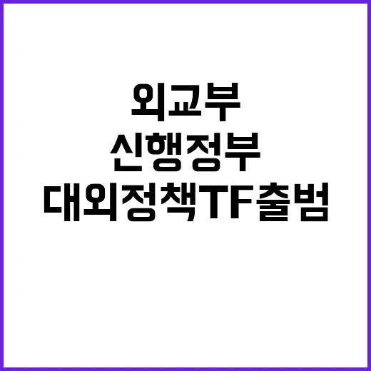 외교부 미국 신행정부의 대외정책 TF 출범!