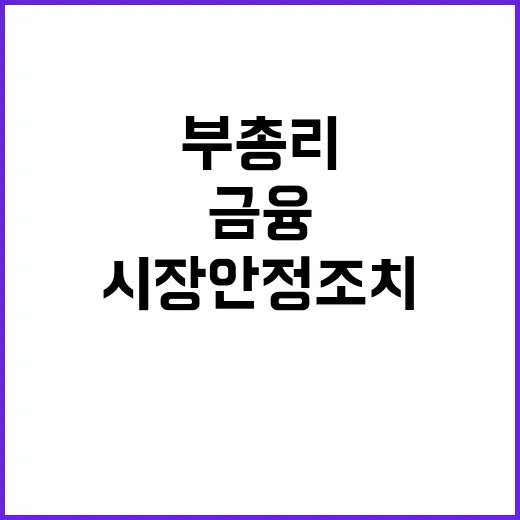 금융 변동성 부총리의 신속한 시장 안정 조치!