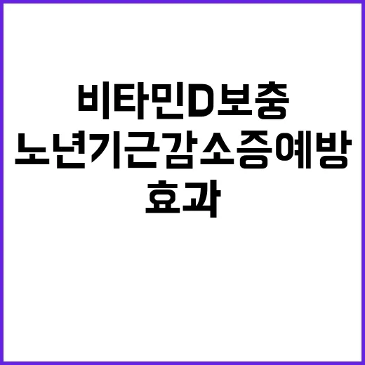 비타민D 보충 노년기 근감소증 예방 효과 공개!