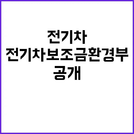 전기차 보조금 환경부의 새로운 희망 메시지 공개!