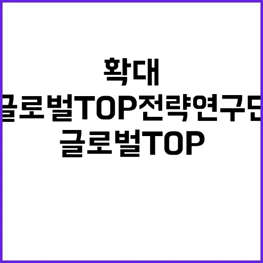 “글로벌 TOP 전…