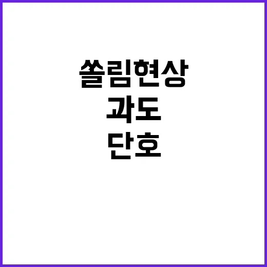 금융시장 점검…과도한 쏠림현상 단호한 조치!