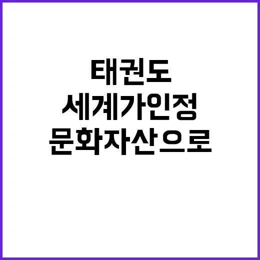 태권도 세계가 인정한 케이문화자산으로 성장한다!