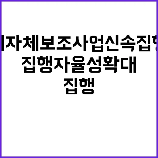 지자체 보조사업 신속집행 자율성 확대 기대!