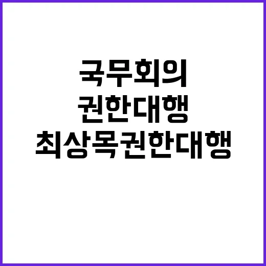 국무회의 최상목 권…