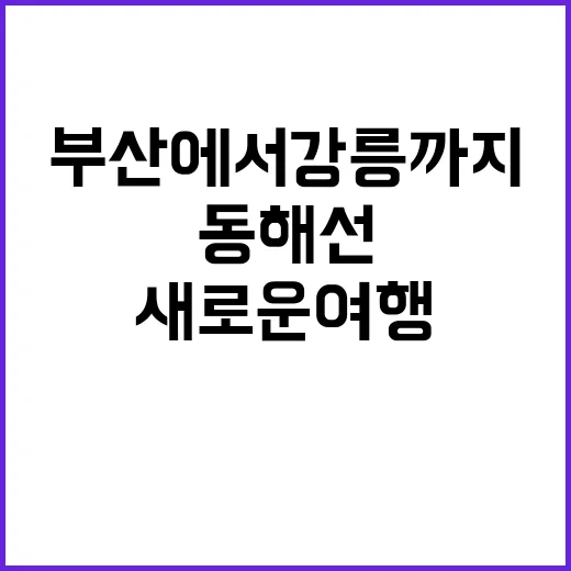 동해선 개통 부산에서 강릉까지 새로운 여행 시작!