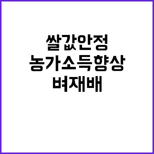 쌀값 안정 농가소득 향상 벼 재배 변화 예상!