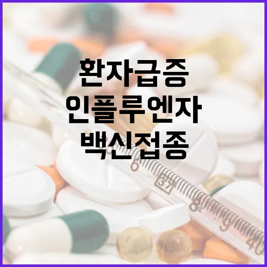 인플루엔자 환자 급증…백신 접종이 필요하다!