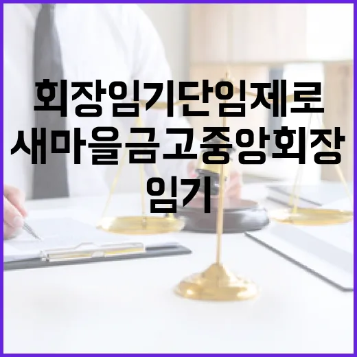 새마을금고 중앙회장 임기 단임제로 변경!