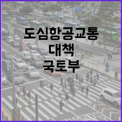 도심항공교통 안전 대책 국토부의 새로운 정보 공개